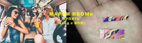 шишки Алзамай
