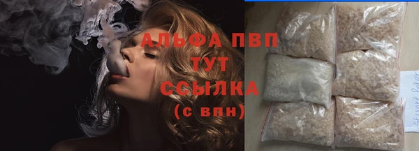 шишки Алзамай