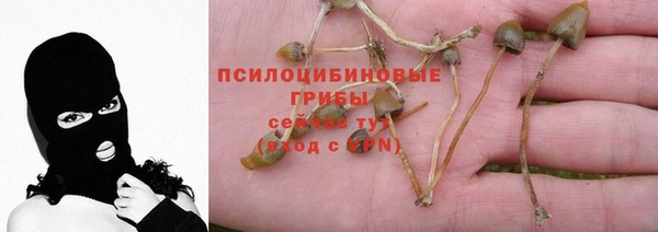ПСИЛОЦИБИНОВЫЕ ГРИБЫ Алексеевка